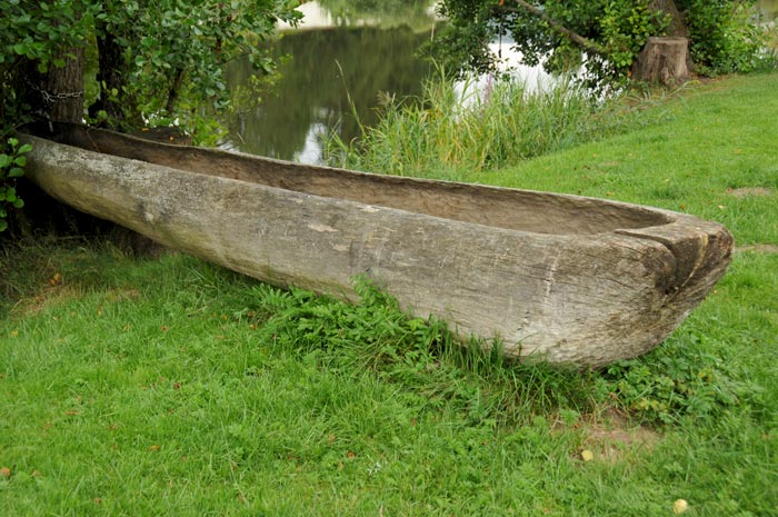 Canoe carved into Tree