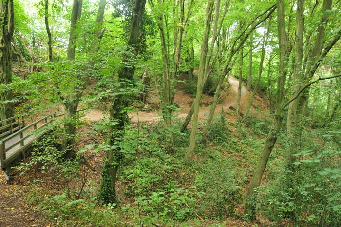 Hike through today's Neandertal - along the Düssel