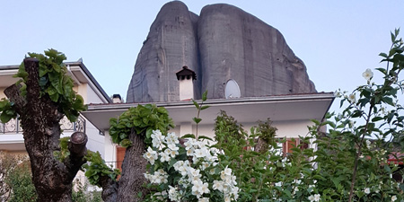 At Meteora Monasteries - Flowering flora in Kastraki