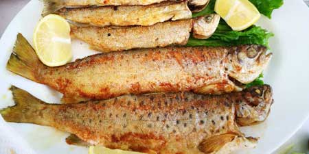 For trout dinner to Pogradec - inexpensive and delicious