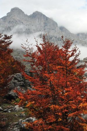 b_450_450_16777215_00_images_albania_shkoder_peaks-of-the-balkans-012.jpg