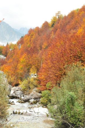 b_450_450_16777215_00_images_albania_shkoder_peaks-of-the-balkans-013.jpg