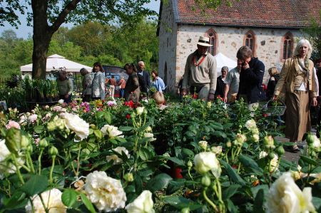 Pflanzenmarkt im Freilichtmuseum