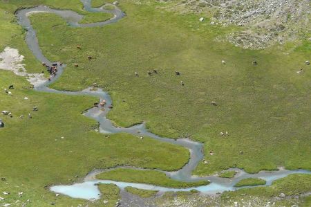 Mäander – Was ist das eigentlich?
