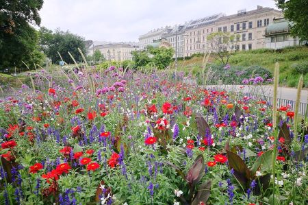 b_450_450_16777215_00_images_austria_vienna_wien-rundgang-03.jpg