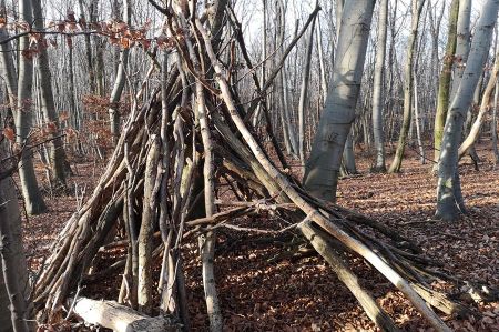 b_450_450_16777215_00_images_austria_vienna_wiener-wald-wandern-03.jpg