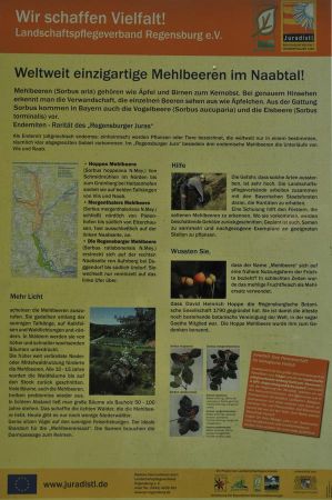 pielenhofen camping 025