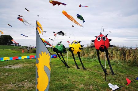 Dangast Kite Festival: Kites over the Beach