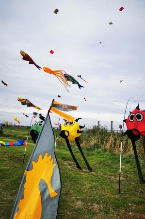 drachenfest dangast 06