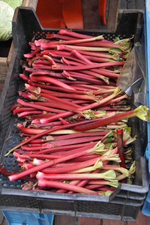 jever glockenturm 024