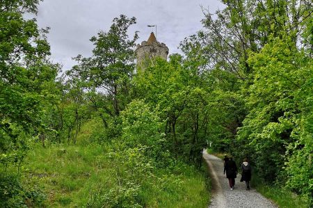 Another hike - this time to Saaleck Castle