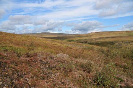 Longdendale Trail - hike up to the moor heights