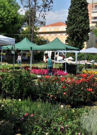 alexandroupolis rundgang 020