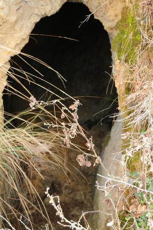 amphipolis loewe 024