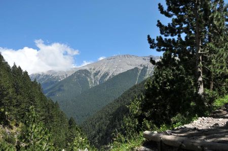 b_450_450_16777215_00_images_griechenland_larissa_olymp-wanderung-021.jpg