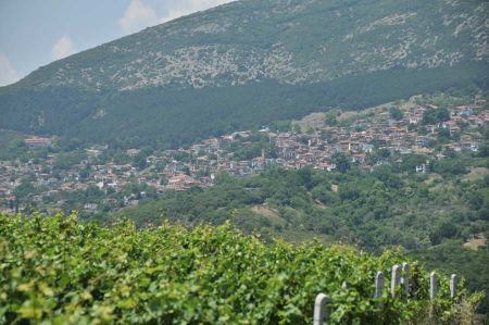 Rapsani: wine-growing region on the slopes of Mount Olympus