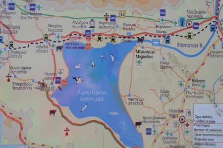 kerkini wetlands 022