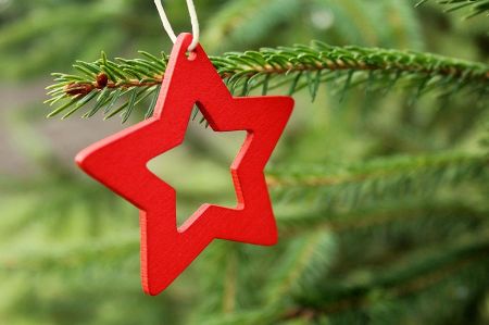 Christmas time - Is the green of the tree a Christian symbol?
