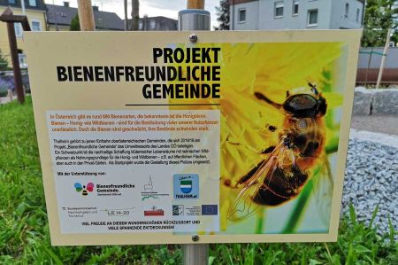 Thalheim – Projekt Bienenfreundliche Gemeinde