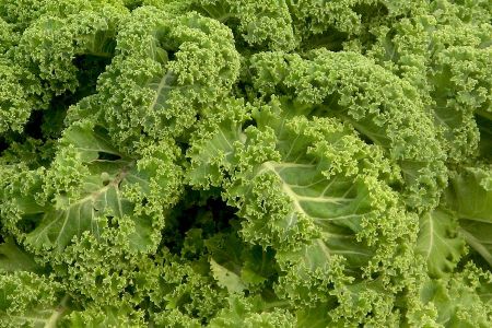 Kale and pinkel - just a winter dish in the north?