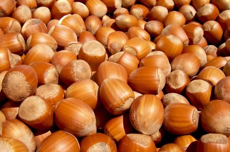 Turkey is the largest hazelnut exporter in the world