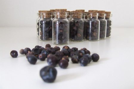 wacholder beeren 016