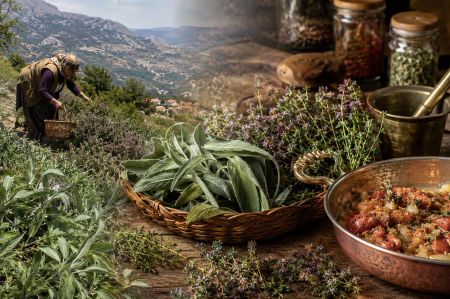 Wie wilder Salbei und Bergthymian in jeder türkischen Küche gelandet sind