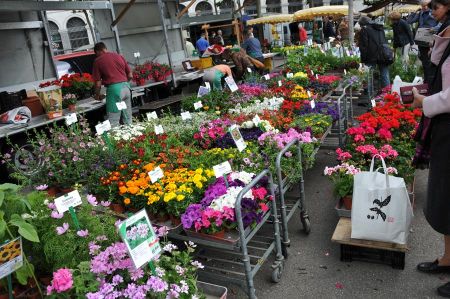 b_450_450_16777215_00_images_schweiz_zuerich_zuerich-wochenmarkt-07.jpg