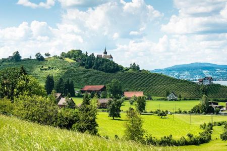 zuerichsee umgebung 030