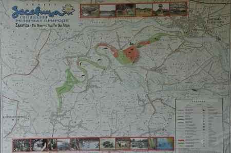 sremska mitrovica 024