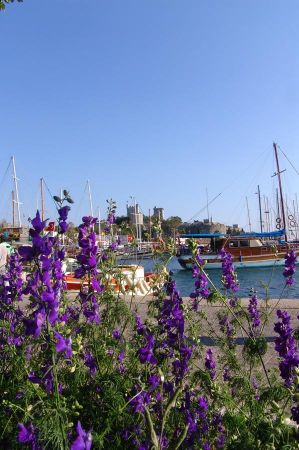 bodrum farbenpracht 02