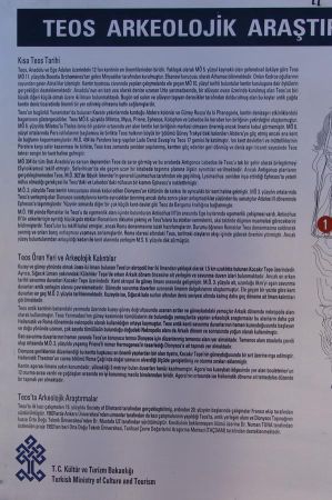 teos restauration 012