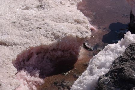 Tuz Gölü - Winterbedingungen in Europa bescheren Salzproduktion in der Türkei gute Geschäfte!