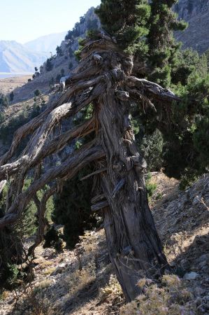 goembe wasserfall 023