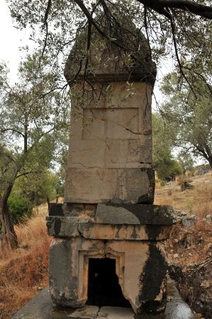 Xanthos Experte Dorn 010