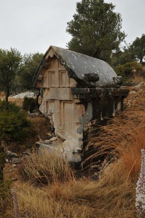 Xanthos Experte Dorn 05