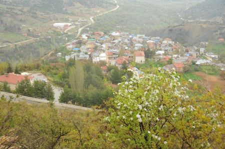 taskent mut road 08