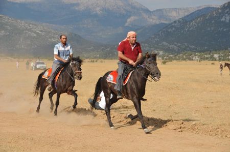 Pferderennen in Ormana / Ibradi