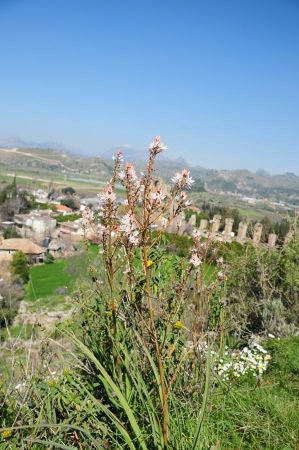 aspendos wasserversorgung 04
