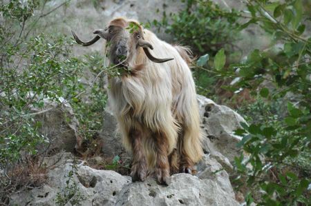 Manavgat - Unverletzte Natur
