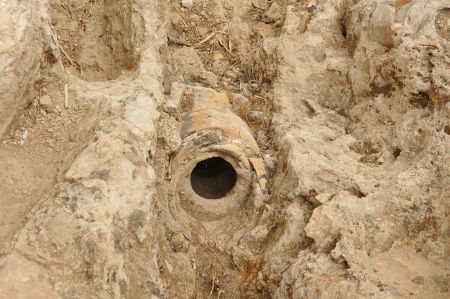 Parasites discovered in the Roman sewage system