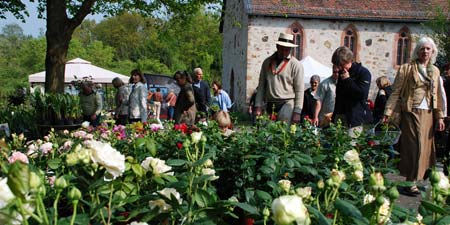 Pflanzenmarkt im Freilichtmuseum