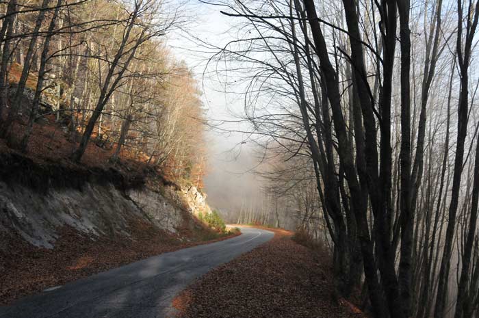 Encounters on the way up to Mount Olympus