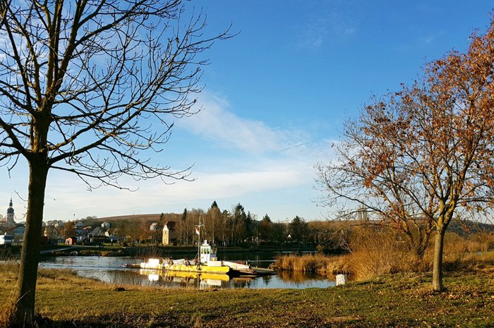 Spaziergang entlang des Main - Albertshofen / Mainstockheim