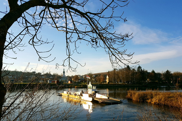 Walk along the Main river Main - Albertshofen / Mainstockheim