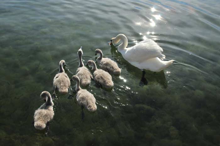 Struga – First Canoe Trip on Lake Ohrid Struga – First Canoe Trip on Lake Ohrid