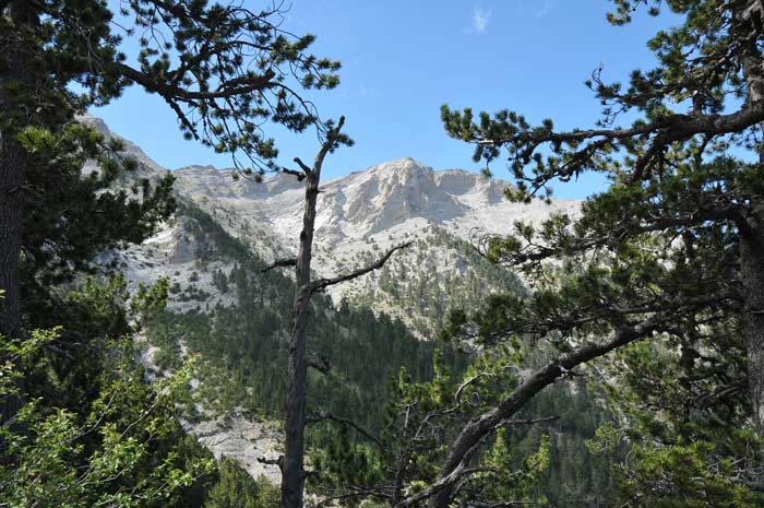 Wandern am Olymp - von Pigadouli zur Hütte S. Agapitos