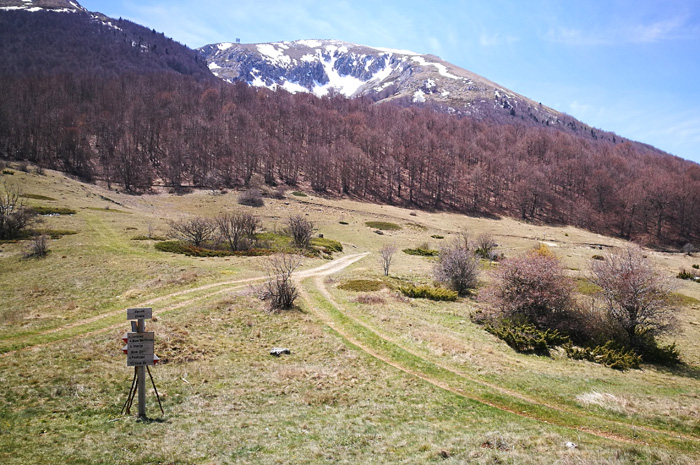 Going for Magaro Mountain at National Park Galicica