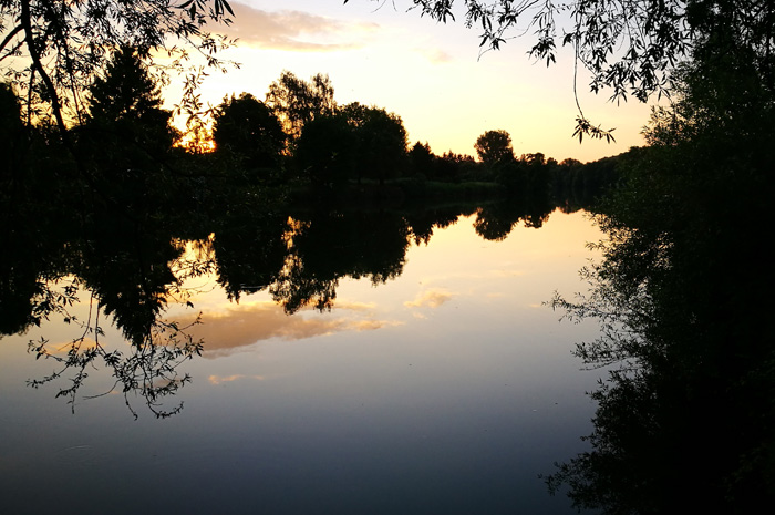 Walk along the Neckar - restoration shows success