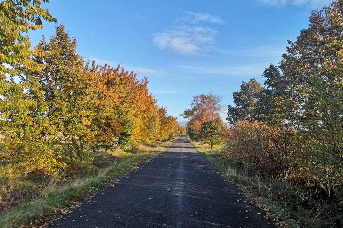 Autumn bike tour through the Burgenland district near Billroda